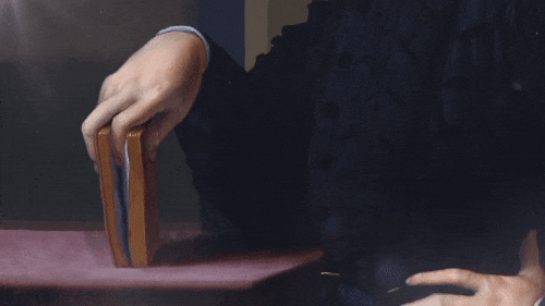 Portrait of a Young Man (Detail) - Agnolo Bronzino (Metropolitan Museum of Art)