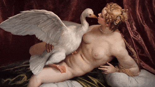 Leda e il cigno - Paolo Veronese(Musée Fesch)